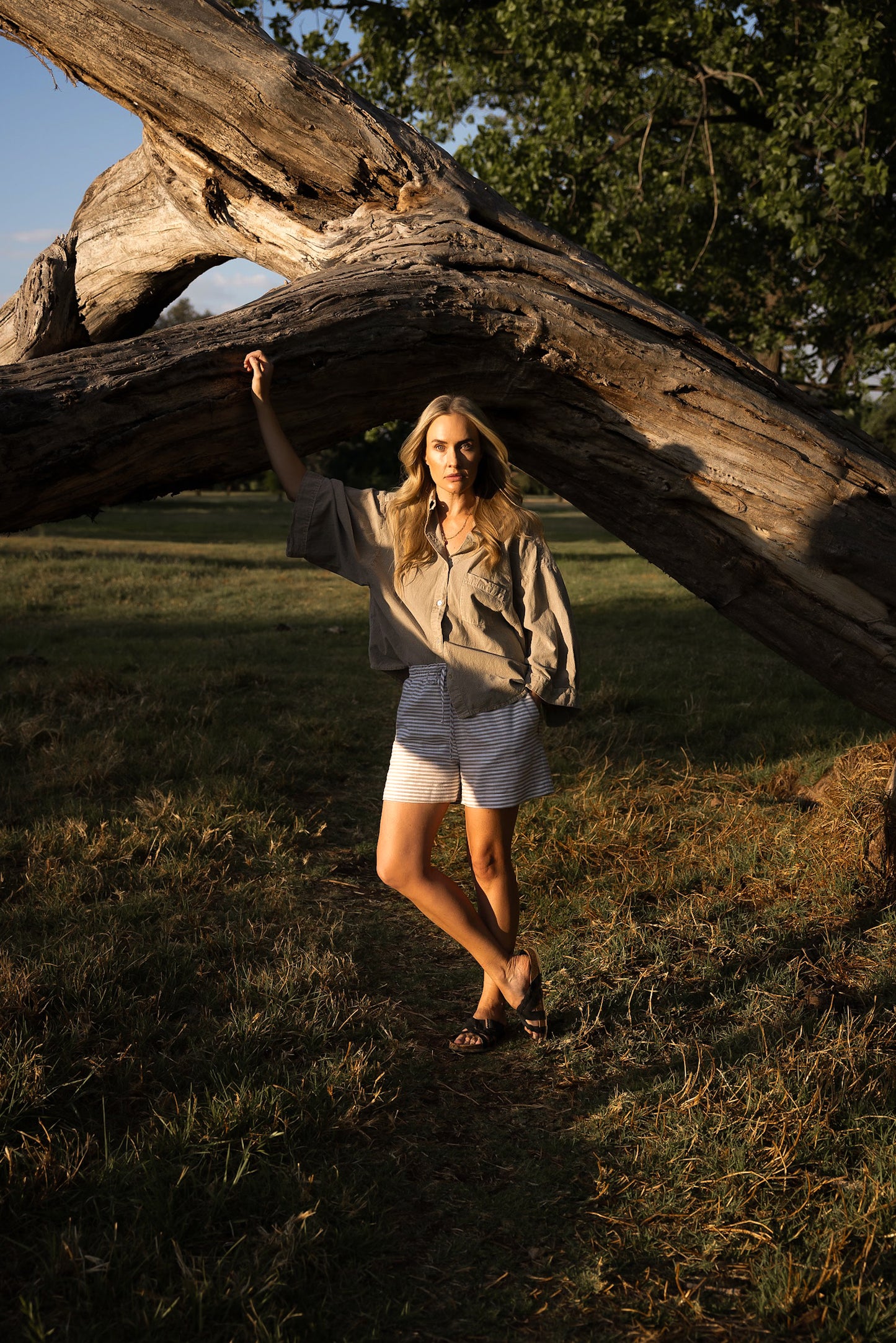 Misha Cotton Drawstring Shorts