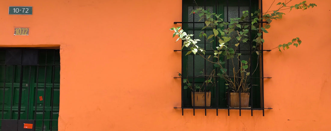 Colours Of The Season